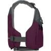 imageNRS Ambient PFDPlum